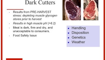 Ohio Beef Cattle Nutrition & Management School; session 1, Dr. Steve Boyles on Handling for Quality