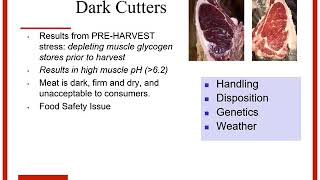 Ohio beef cattle nutrition & management school; session 1, dr. steve
boyles on handling for quality