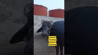 Farming methods
