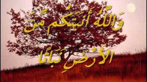 القارىء المهندس محمد زكريا سورة نوح  مسجله يوم 13 شوال 1432ه