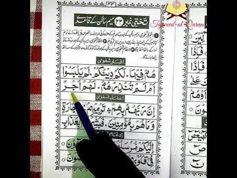 Jinsiy aloqa qoidalari chat video