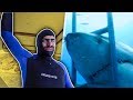 YouTubers bucean con Tiburones blancos | Juanpa, Badabun…
