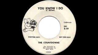 Video thumbnail of "The Countdowns - You Know I Do (1965)"