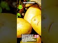 How To Grow Potatoes In A Container! EASY! #garden