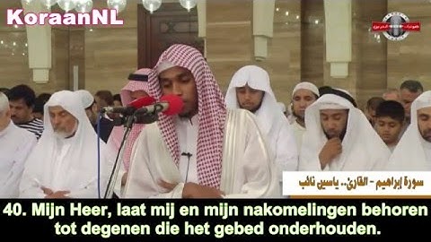 Yasin Naib (ياسين نائب) - Ibrahim (35-41) سورة ابراهيم - NL