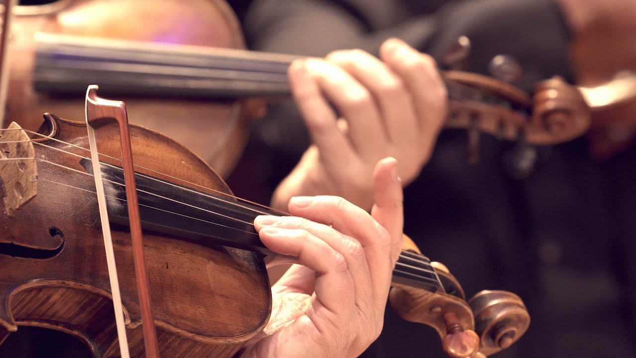 Delius, Frederick - Air et danse pour cordes - ORCW, Frank Braley - 4k