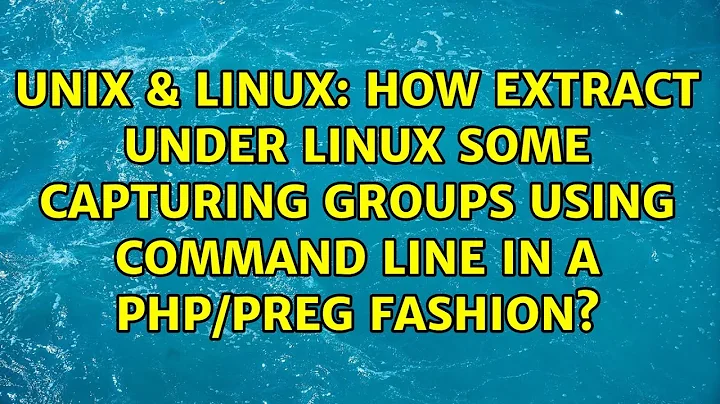 How extract under linux some capturing groups using command line in a php/preg fashion?
