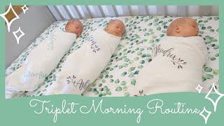 Newborn Triplets' Morning Routine