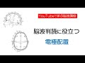 2. 脳波判読に役立つ電極配置について15分で分かりやすく解説！