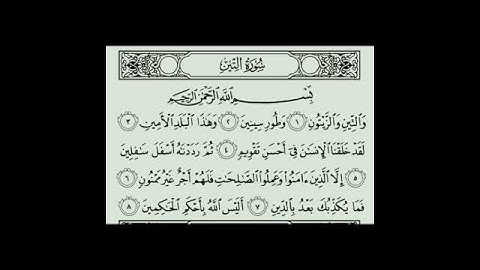سورة التين بصوت رائع