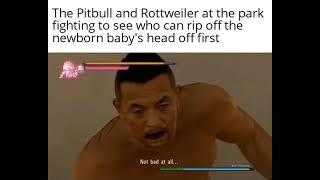Pitbull vs Rottweiler