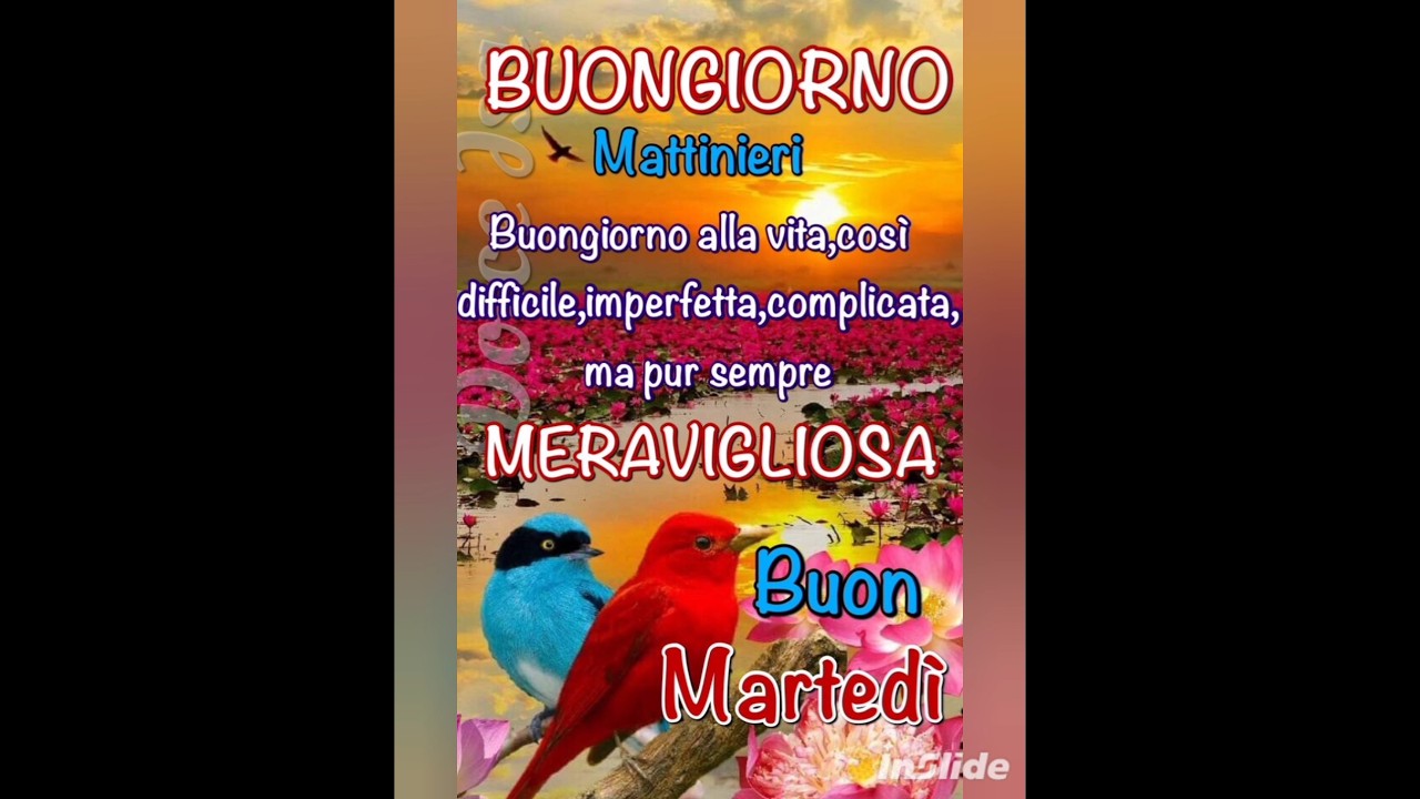 Buongiorno... Buon Martedì 😘😘😘
