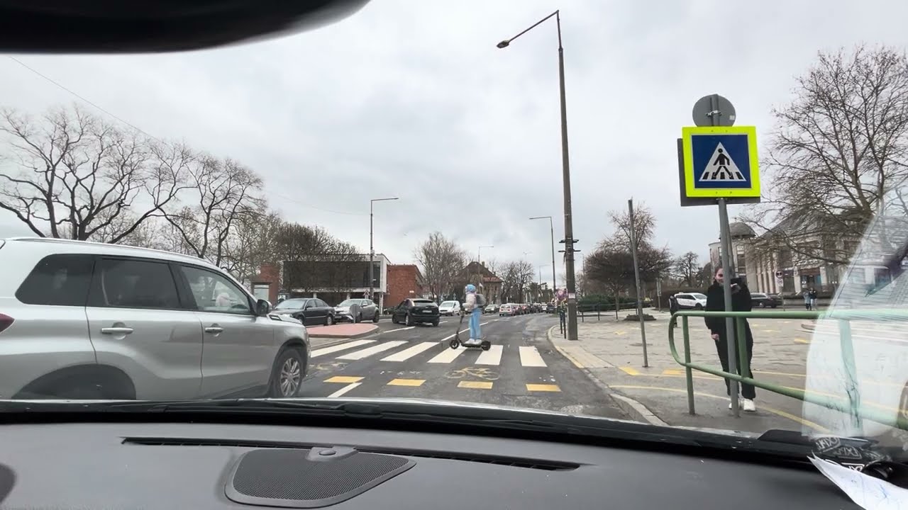 Tami ügyes -Forgalmi vezetési óra#tanulóvezetőknek#gödöllő#drivinglesson