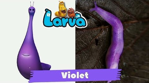 Larva Characters In Real Life