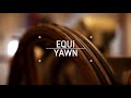 Equi - YAWN