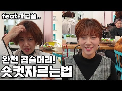완전 곱슬머리 여자 숏컷 커트머리 자르는방법(korean short hairstyle tutorial)