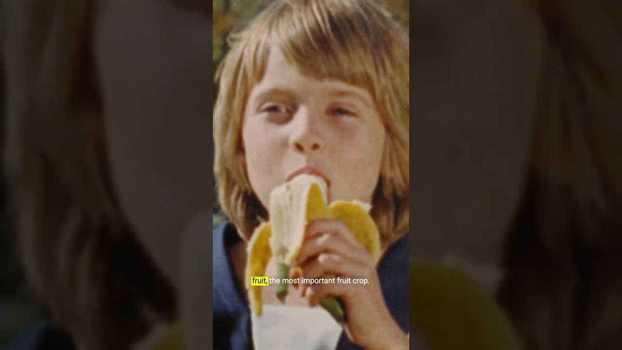 The banana is under threat #shorts