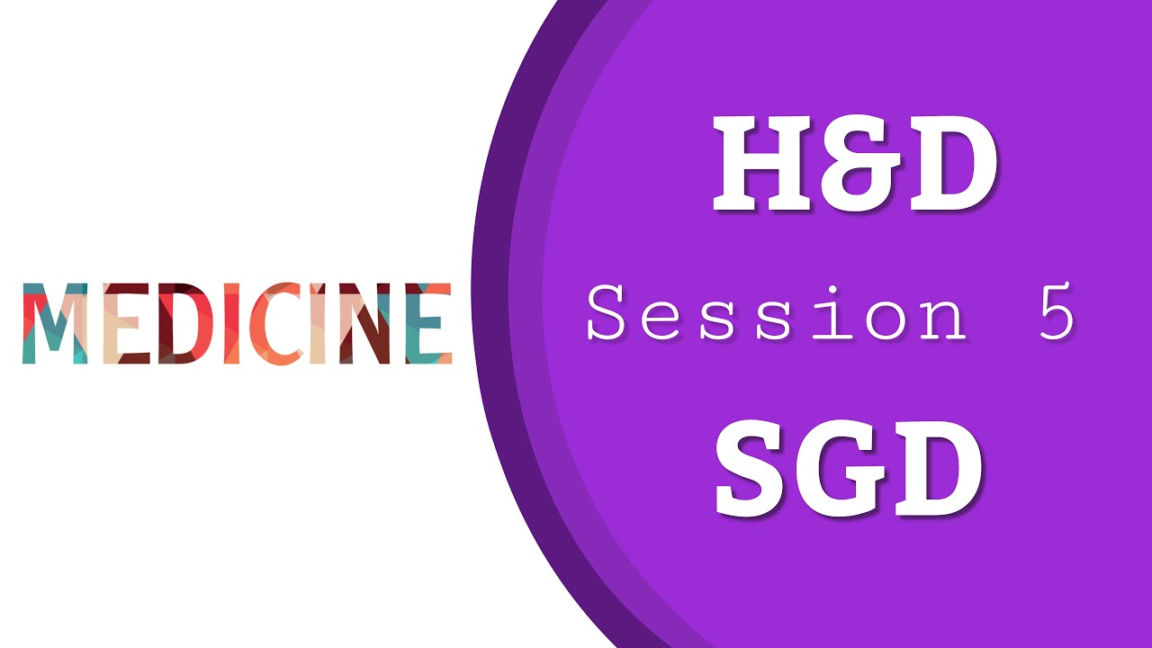 H D Session 5 SGD YouTube