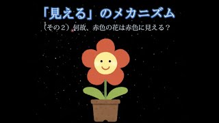 【字幕付】見えるのメカニズム（その２）