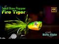 Small bass popper fly  fire tiger color  mcfly angler fly tying tutorial