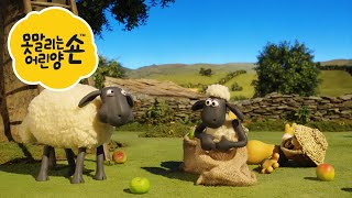 웃음 넘치는 숀 더쉽의 새로운 이야기 🎉🐑 | 숀 더쉽 🐑🐑 🐑 어린이 친화적 시리즈 - 숀 더쇼위츠