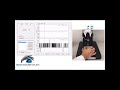 Bending of Bone - Part 7 - Testing Procedure Wood Bending of Bone - Part 7 - Testing Procedure Wood