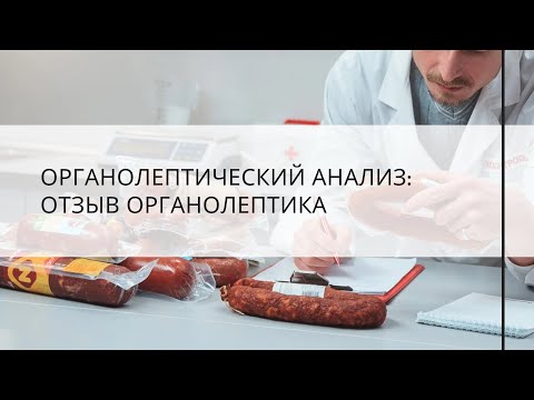 Аналитический отзыв