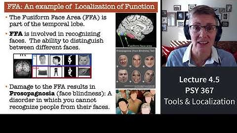 367 Lecture 4.5 Measuring where neural activity occurs in your brain
