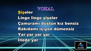 HA BABAM HA&LİNGO LİNGO ŞİŞELER KARAOKE Resimi