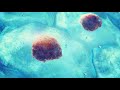 Stem Cell Production - 2 - Meditation - Music Therapy - Experimental Meditation
