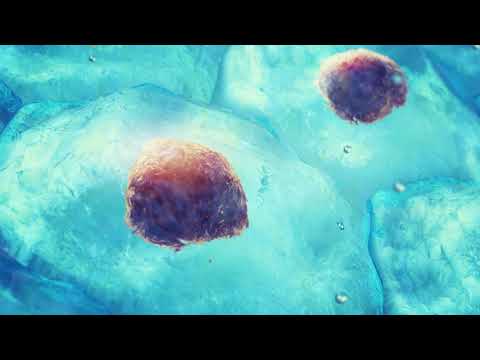 Video: Hydrodynamische Modulation Pluripotenter Stammzellen
