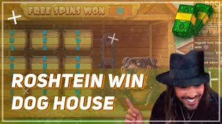 Roshtein WIN 22.000€ on Dog House ✅ Casino Twitch Moments