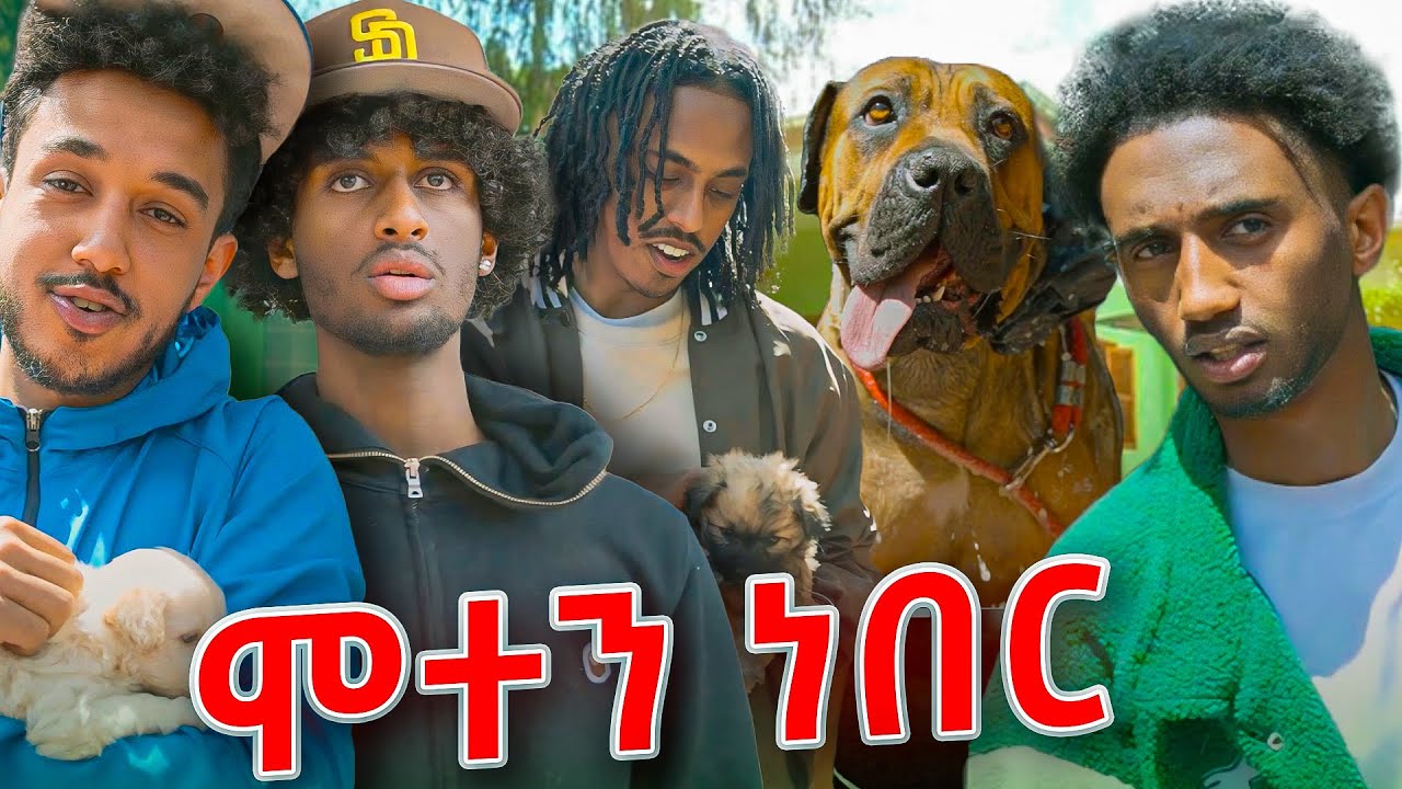 ለ24 ሰዓት የውሻ ማሳደጊያ ሰራን | Day 1