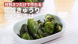 材料3つだけで作れる！蛇腹きゅうりの塩昆布漬け　｜　How To Make Bellows cucumber salt kelp pickles
