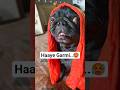 Haaye Garmii 45° 🥵🐶 Itni Hai #2026 #garmi #summer #pug #dogvideos #shorts