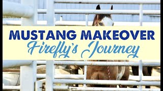 MUSTANG MAKEOVER 2023  Taming a Wild Horse  Firefly's Journey