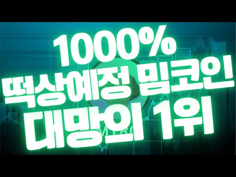   Myro Coin 1000 급등 다음 급등 밈코인은