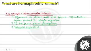 What are hermaphrodite animals