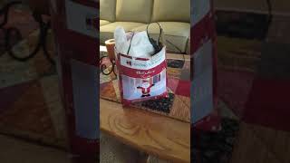 review on the 4 foot inflatable Santa