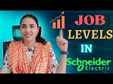 Job Levels & designation Hierarchy in Schneider Electric | Different Management Level Revealed