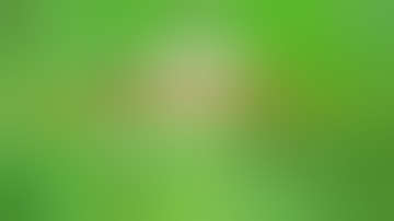 Determination of Saponification value of Fat or Oil