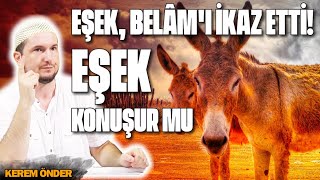 Eşek, Belâm'ı ikaz etti! – “Eşek konuşur mu” deme papağan kafalı!  / Kerem Önder