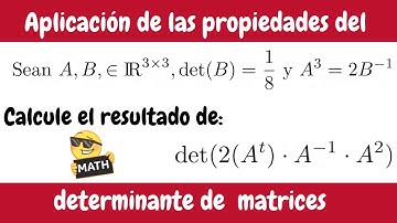Propiedades del determinante de una matriz