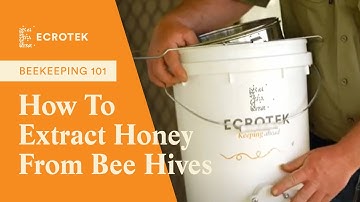 Beekeeping 101: How To Extract Honey From Bee Hives | Ecrotek Beekeeping Supplies