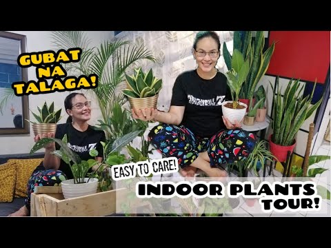 DIY PLANT SHELF AT INDOOR PLANTS TOUR! #Mcforest