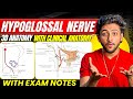 Neuroanatomy- Hypoglossal Nerve | MBBS 1st Year | Explanation With Exam Notes | MBBS World