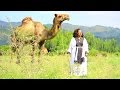 Meseret belete  erikum zemeda     new ethiopian music official