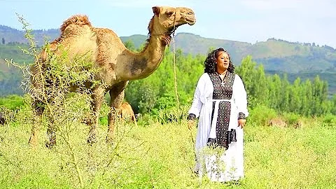 Meseret Belete - Erikum Zemeda | እሪኩም ዘመዳ - New Ethiopian Music (Official Video)