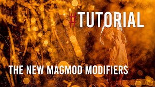 The New MagMod Modifiers   Creative Off-Camera Flash tutorial // #BeCreative Photography Tutorials