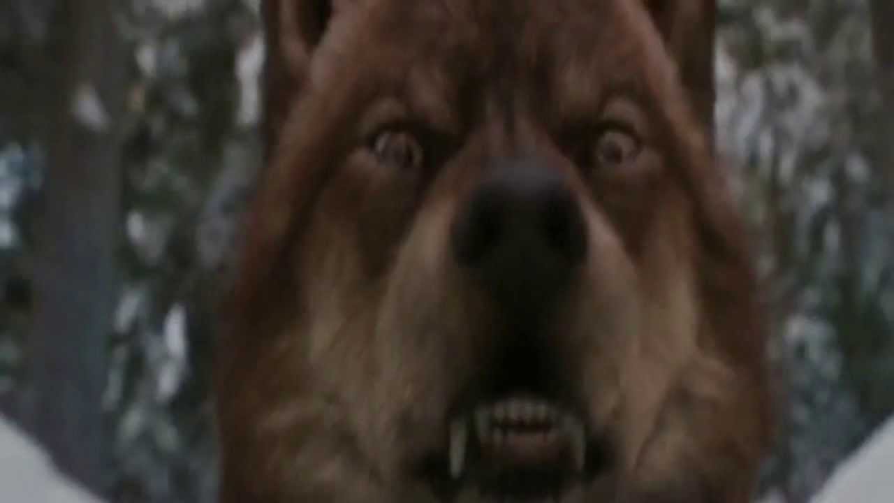 Jacob y renesmee-mi vida-divino